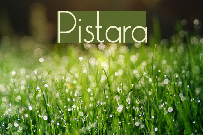 Pistara Font examples