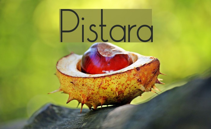 Pistara Font examples