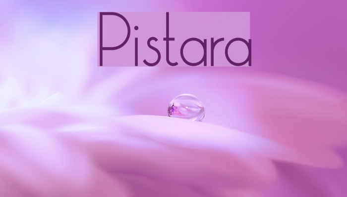 Pistara Font examples