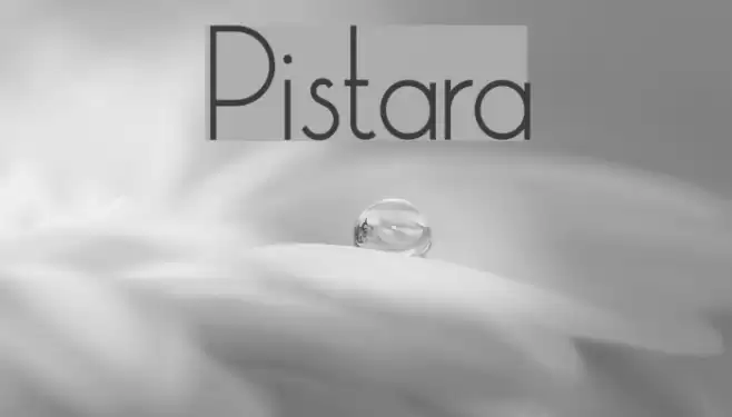 Pistara Font examples