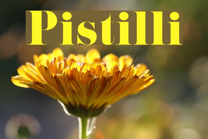 Pistilli Font examples