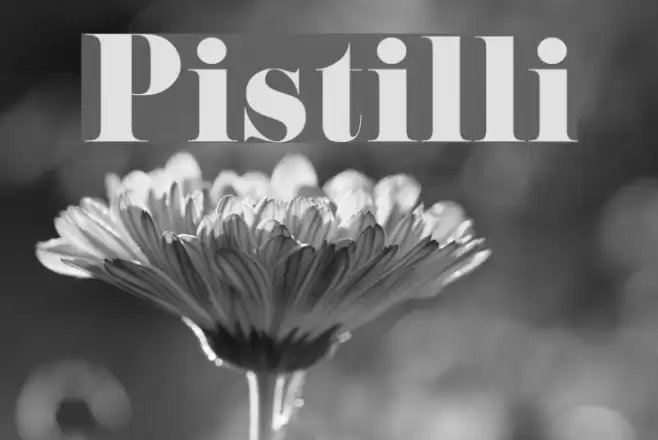 Pistilli Font examples