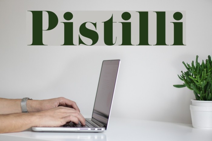 Pistilli Font examples