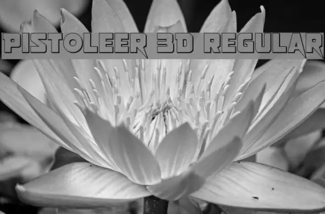 Pistoleer 3D Regular Font examples