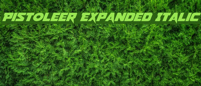 Pistoleer Expanded Italic Font examples