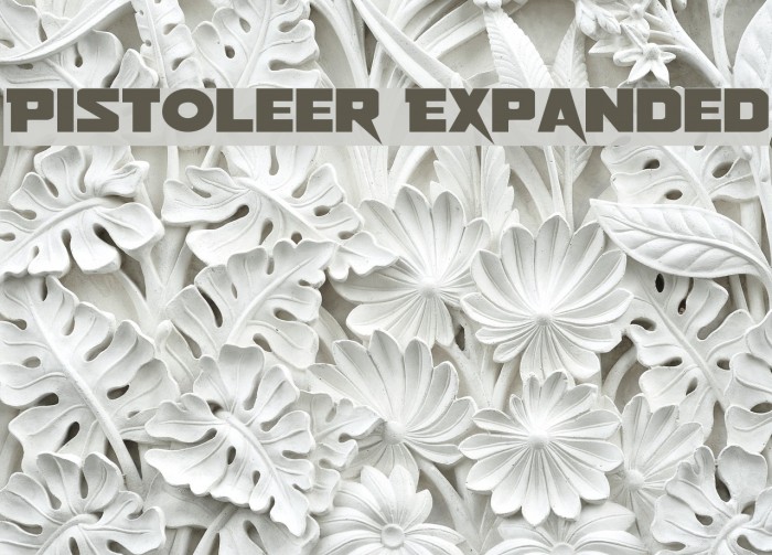 Pistoleer Expanded Font examples