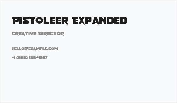Pistoleer Expanded Business Card