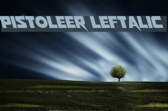 Pistoleer Leftalic Example 1