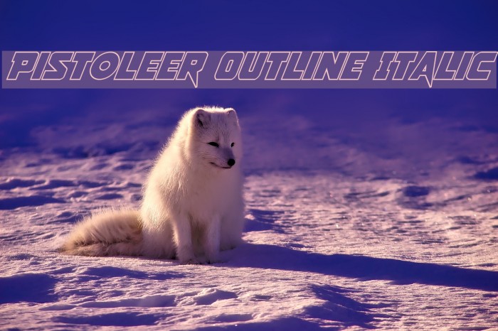 Pistoleer Outline Italic Example 1