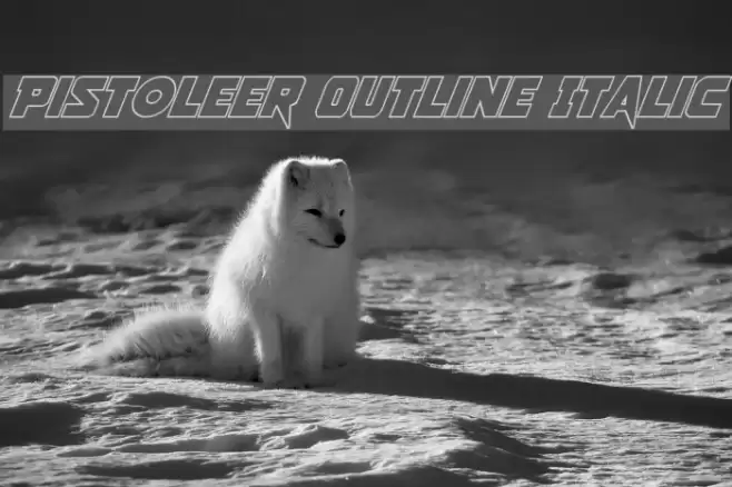 Pistoleer Outline Italic  examples