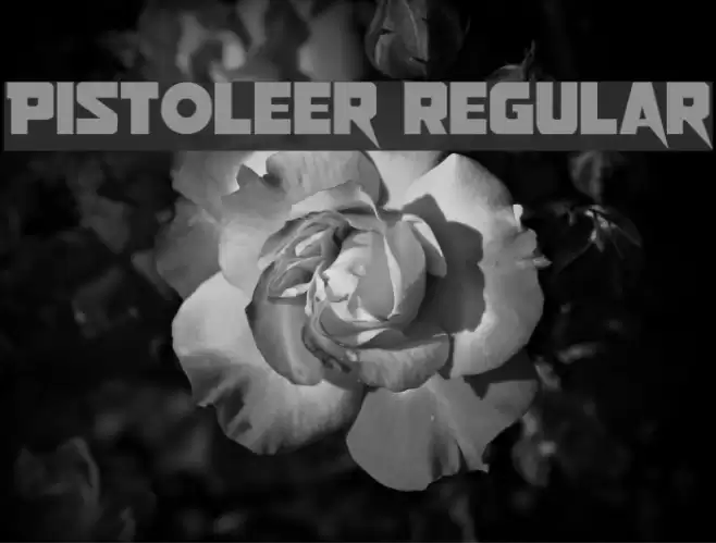 Pistoleer Regular Font examples