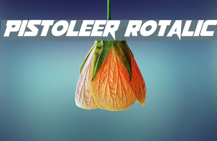Pistoleer Rotalic Example 2