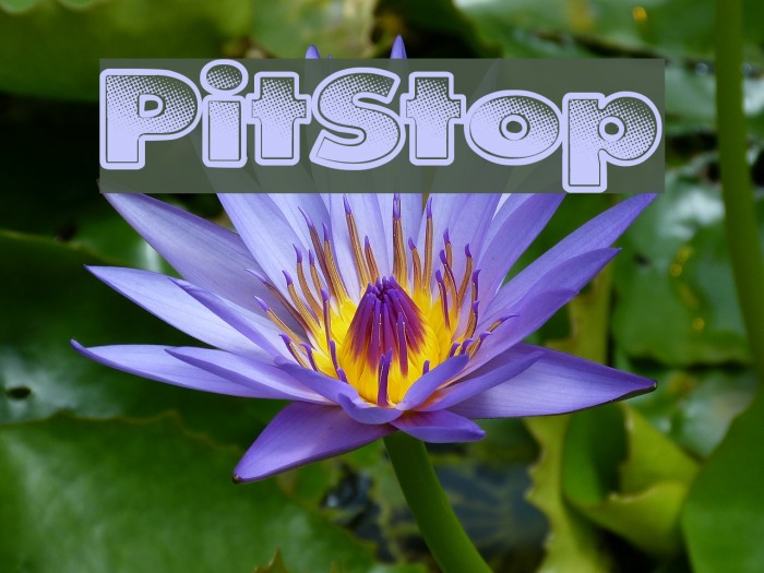 PitStop Font examples