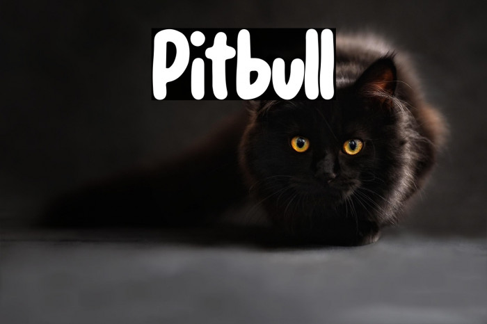 Pitbull Example 1