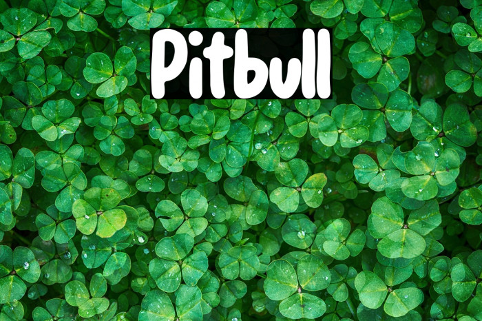 Pitbull Example 3