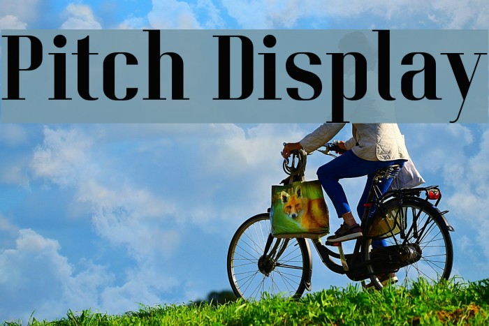 Pitch Display Font examples