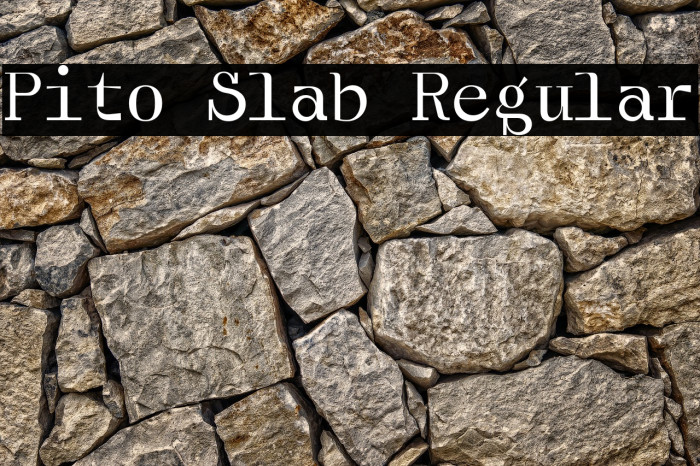 Pito Slab Regular Font examples