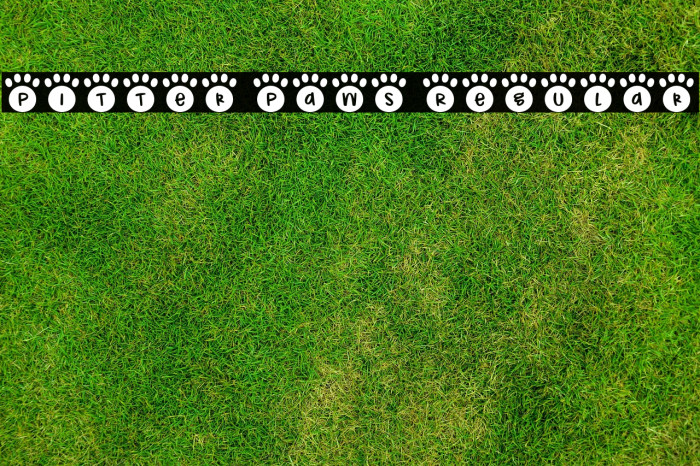 Pitter Paws Regular Example 1