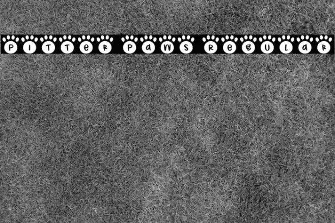 Pitter Paws Regular 字体 examples