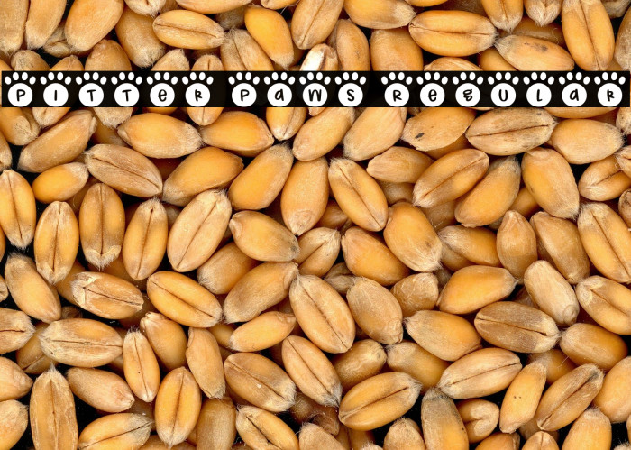 Pitter Paws Regular Example 2