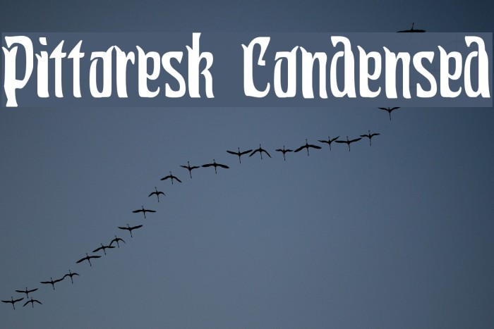 Pittoresk Condensed Font examples