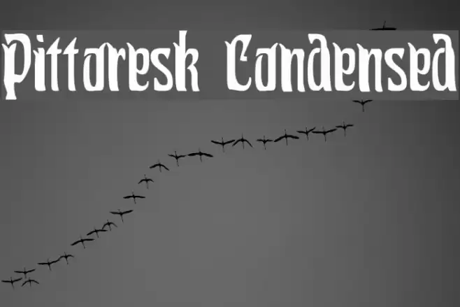 Pittoresk Condensed Polices examples