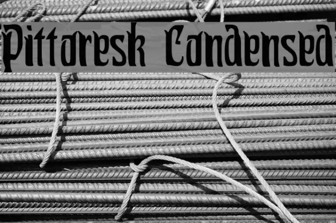 Pittoresk Condensed Polices examples