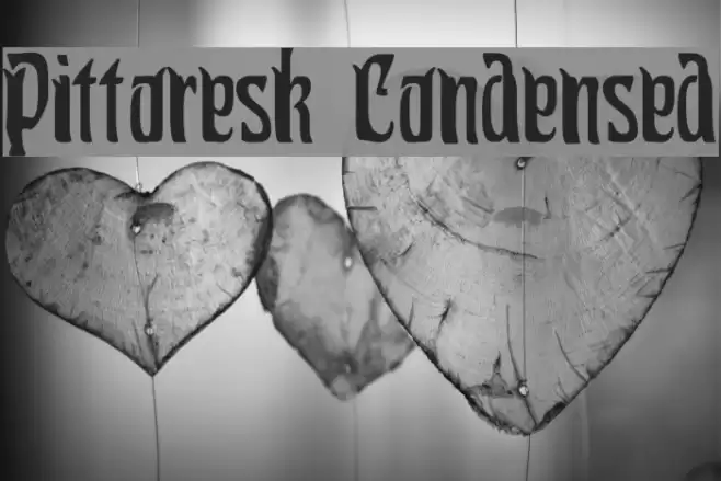 Pittoresk Condensed Polices examples