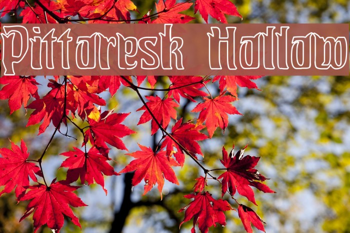 Pittoresk Hollow Font examples