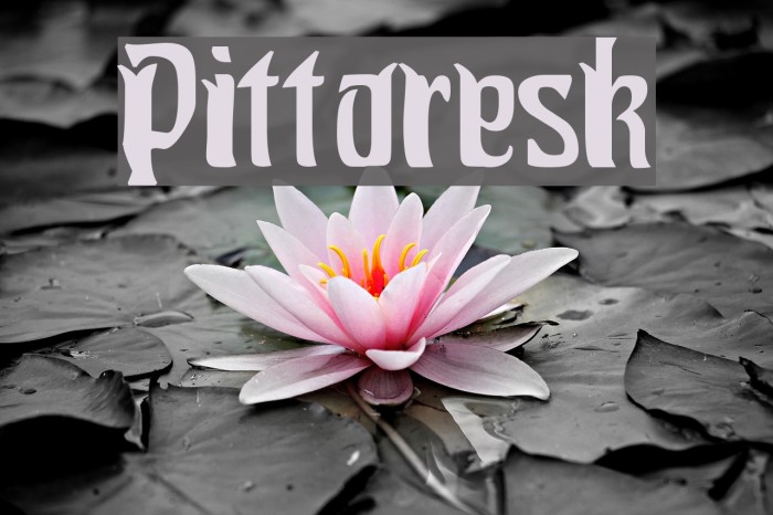 Pittoresk Caratteri examples
