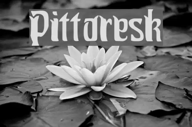 Pittoresk Font examples