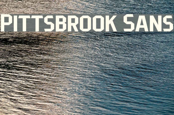 Pittsbrook Sans Font examples