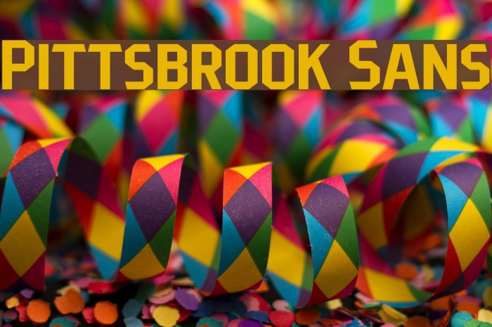 Pittsbrook Sans Font examples