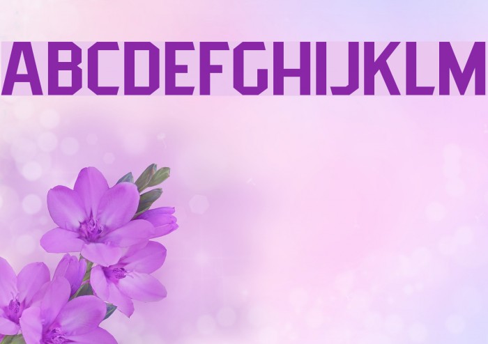 PittsbrookSans Example 1