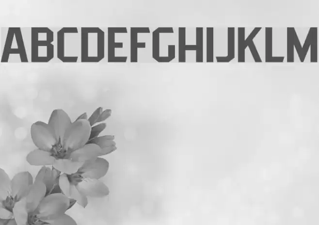 PittsbrookSans Font examples