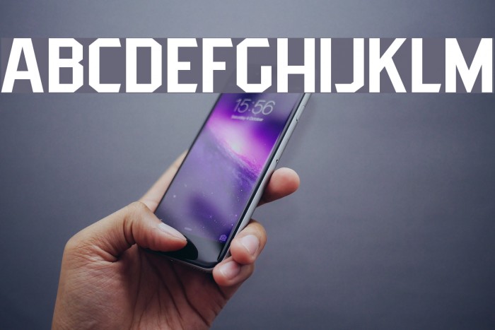 PittsbrookSans Example 2