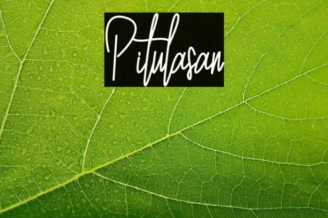 Pitulasan Example 3