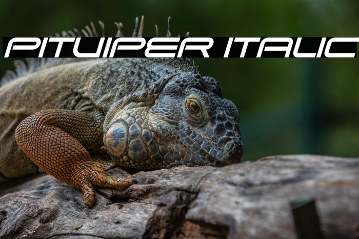 Pitviper Italic Example 3