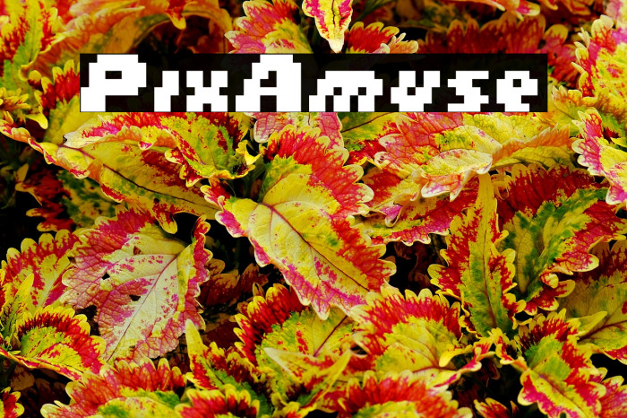 PixAmuse Example 1