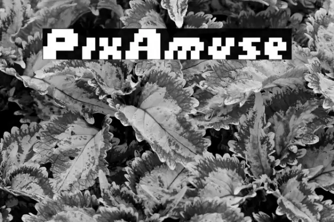 PixAmuse Font examples
