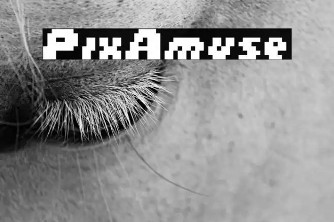 PixAmuse Font examples