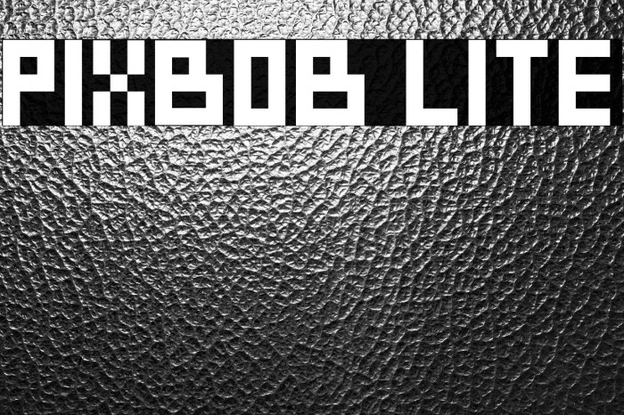 PixBob Lite Example 2