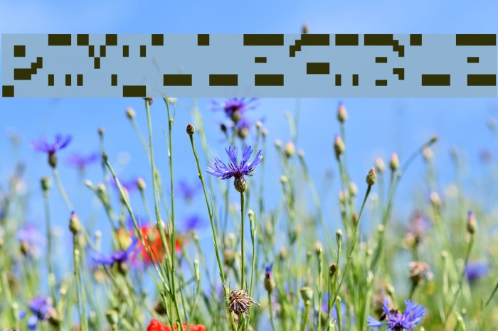 PixIllegible Font examples