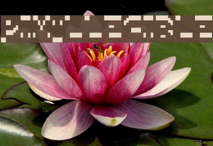 PixIllegible Font examples