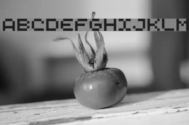 PixL Шрифта examples