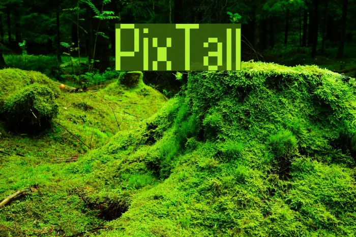 PixTall Example 1