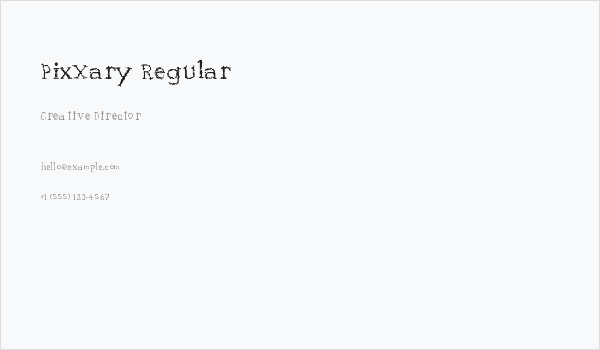 PixXary Regular Business Card