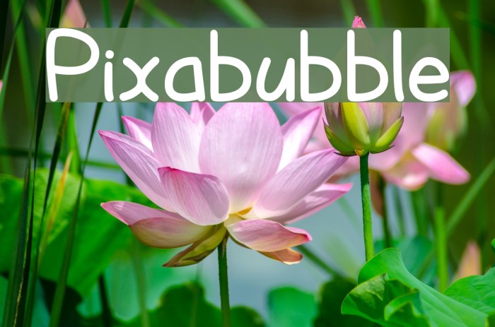 Pixabubble Font examples