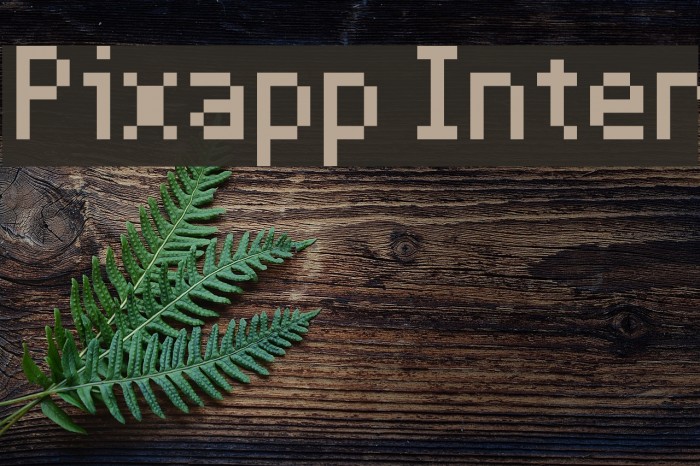 Pixapp Inter Font examples