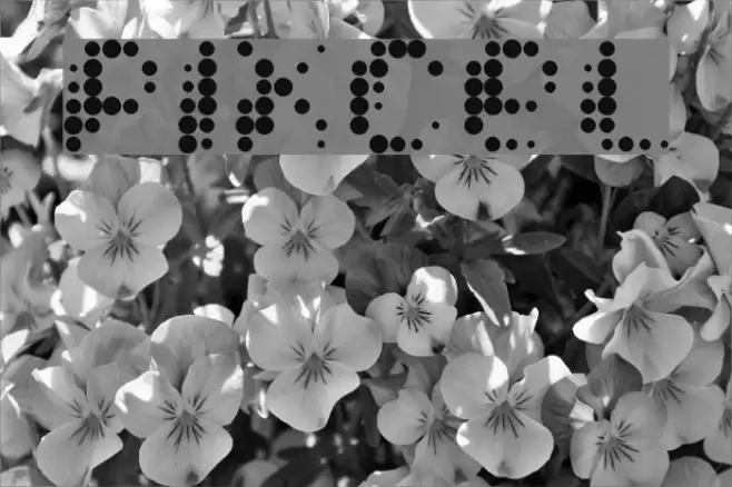 Pixcel Fuentes examples